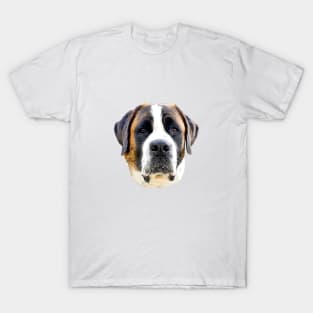 St Bernard Gorgeous Dog T-Shirt